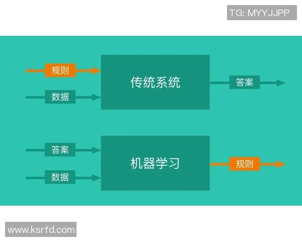 武汉排球队个人能力分析：技术特点与战术应用的深度探讨