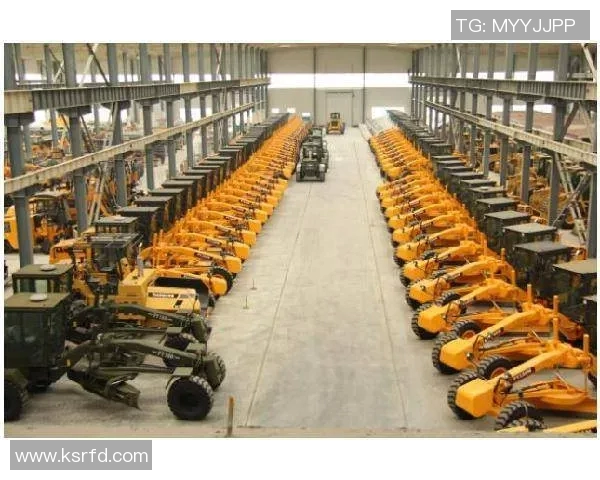 西安篮球队转型之路的纪实探索与发展历程分析