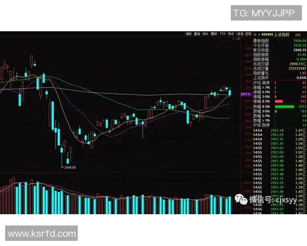 广州羽毛球队与上海羽毛球队赛后复盘分析比赛节奏与战术对比