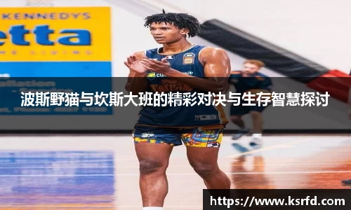 波斯野猫与坎斯大班的精彩对决与生存智慧探讨